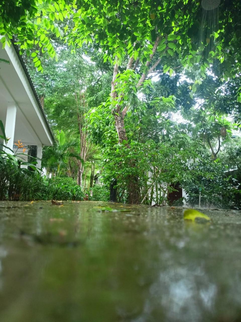Greenspace Resort Phuquoc Дуонг-Донг Экстерьер фото