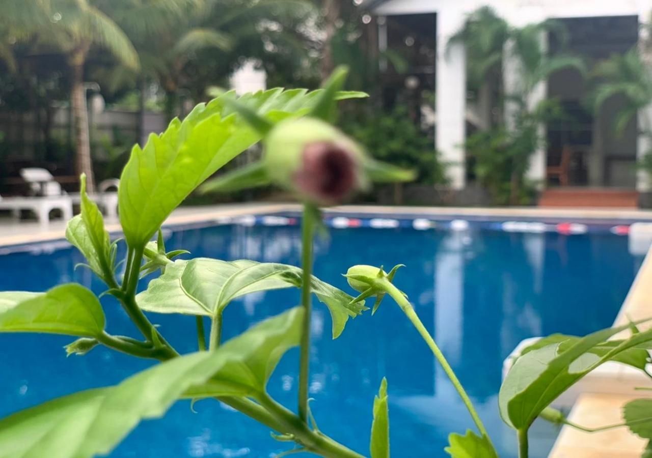 Greenspace Resort Phuquoc Дуонг-Донг Экстерьер фото